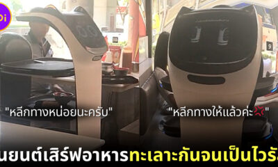 หุ่นยนต์เสิร์ฟอาหาร 1