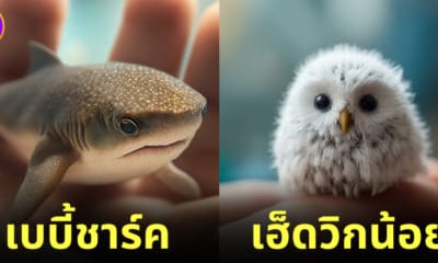 Cover สัตว์โลกตัวจิ๋ว ภาค 2