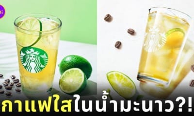 Starbucks ญี่ปุ่น กาแฟใส Coffeeade Cool Lime