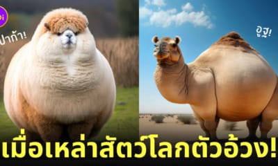 ภาพสัตว์โลก ตัวอ้วน ตัวกลม AI