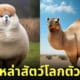 ภาพสัตว์โลก ตัวอ้วน ตัวกลม AI
