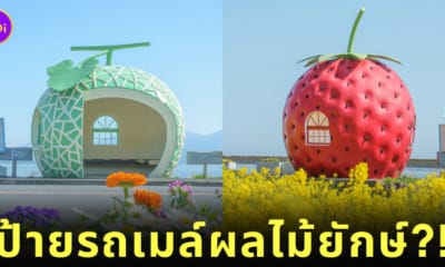 ป้ายรถเมล์ผลไม้ยักษ์ Konagai ญี่ปุ่น