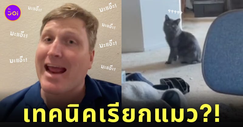 มะแอ๊ะ Ma-AH ภาษาแมว เรียกแมว TikTok