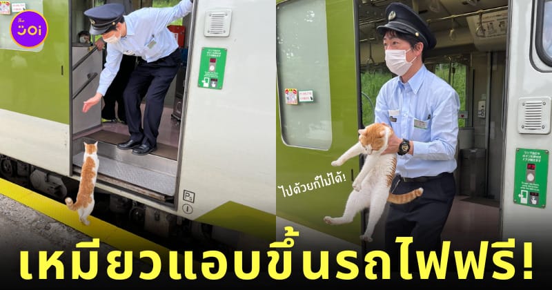 แมวส้มญี่ปุ่นแอบขึ้นรถไฟฟรี