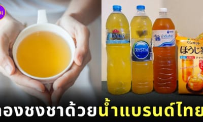 คนญี่ปุ่นลองชงชาด้วยน้ำดื่มไทย