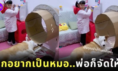 พ่อทำ CT Scan กระดาษลังสานฝันลูกสาวที่อยากเป็นหมอ แถมน้องหมายังขอแจมเป็นคนไข้ให้ด้วย