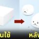 ยางลบแมวน้ำ ยางลบปลาซาคาบัมบาสปิส