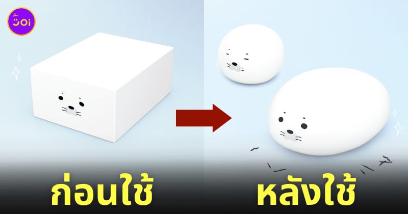 ยางลบแมวน้ำ ยางลบปลาซาคาบัมบาสปิส