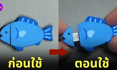ตลับเมตรก้างปลา