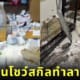 โกลเด้น รีทรีฟเวอร์ ทำลายของ TikTok โรงพยาบาลสัตว์กู๊ดเว็ท จะนะ สงขลา