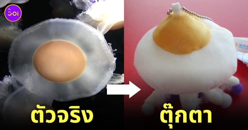 ตุ๊กตาแมงกะพรุนไข่ดาว ญี่ปุ่น