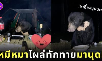 หมีหมา น้องขนุน แคมป์ปิ้ง อุทยานฯ แก่งกระจาน