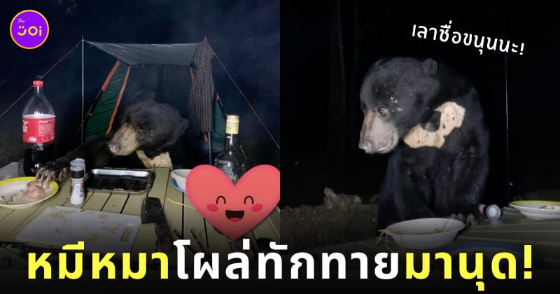 หมีหมา น้องขนุน แคมป์ปิ้ง อุทยานฯ แก่งกระจาน