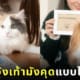 หมึกปั๊มอุ้งเท้าหมาแมว สินค้าญี่ปุ่น