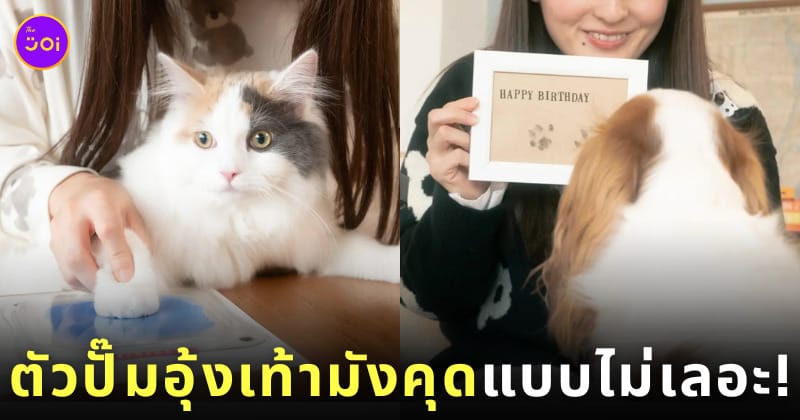 หมึกปั๊มอุ้งเท้าหมาแมว สินค้าญี่ปุ่น