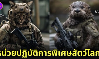 คอนเทนต์ "สัตว์โลก x AI" วนกลับมาสร้างรอยยิ้มให้กับเพื่อน ๆ เหมือนอย่างเช่นเคย หลังจากที่เมื่อไม่กี่วันที่ผ่านมา The Joi ได้นำเสนอบทความ "ภาพสัตว์โลกในลุคมีกล้ามดุดันไม่เกรงใจใครจากระบบ AI" และ "ภาพสัตว์โลกในลุคไอต้าวอ้วงตัวกลมที่ถูกสร้างด้วย AI" กันไปแล้ว ซึ่งแน่นอนว่าผลลัพธ์ที่ออกมานั้นเรียกเสียงหัวเราะให้กับทุกคนได้เป็นอย่างดี และสำหรับวันนี้พวกเราก็จะพาไปส่องภาพของน้อง ๆ ผ่านฟิลเตอร์ที่ดุดันไม่เกรงใจใครกันบ้าง กับ 20 ภาพสัตว์โลกในลุคหน่วยปฏิบัติการพิเศษสุดเท่ที่ถูกสร้างด้วย AI ผลงานจาก "WTF Yapay Zeka" หรือผู้ใช้งาน Instagram @wtfyapayzeka ที่ตอนนี้มีผู้กดติดตามไปแล้วกว่า 1 แสนคน! ตามไปดูกันว่าเหล่าสัตว์โลกที่กลายเป็นเจ้าหน้าที่สุดเข้มจะเหล่ท่อหล่อเท่มากน้อยขนาดไหน?! 1. เสือ 2. เสือชีตาห์ 3. ยีราฟ 4. ช้าง 5. หมี 6. จิงโจ้ 7. กอริลลา 8. จระเข้ 9. กวาง 10. แร็กคูน 11. กระต่าย 12. หนู 13. เม่น 14. นาก 15. โคอาลา 16. แมว 17. สุนัขจิ้งจอก 18. นกเค้าแมว 19. สิงโตทะเล 20. หมู และทั้งหมดนี้ก็คือภาพ "สัตว์โลกในลุคหน่วยปฏิบัติการพิเศษสุดเท่" ที่ถูกสร้างสรรค์ขึ้นมาจาก AI โดยแอคเคาท์ Instagram @wtfyapayzeka ซึ่งหากว่าใครอยากติดตามผลงานอื่นที่นอกเหนือจากนี้เพิ่มเติม ก็สามารถเข้าไปฟอลโลว์และซัพพอร์ตได้ที่แอคเคาท์ที่พวกเราแปะไว้ให้หรือคลิกด้านล่างนี้เลย! ที่มาข้อมูล: Instagram @wtfyapayzeka และ wtfyapayzeka.com อ่านบทความที่เกี่ยวข้อง: เมื่อศิลปินใช้ AI สร้าง 12 ภาพสัตว์โลกในลุคมีกล้ามดุดันไม่เกรงใจใคร..จะออกมาเป็นยังไง?! อ่านบทความที่เกี่ยวข้อง: พาส่อง 15 ภาพสุดคิวท์! เมื่อศิลปินสร้างสรรค์สัตว์โลกตัวจิ๋วด้วย AI จะออกมาเป็นยังไงกันนะ?! อ่านบทความที่เกี่ยวข้อง: ศิลปินชาวเกาหลีเนรมิต 20 ภาพสัตว์โลกให้กลายเป็นตัวละครในเวอร์ชั่นดุดันไม่เกรงใจใคร!