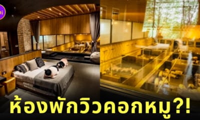 โรงแรมวิวคอกหมูแพนด้า