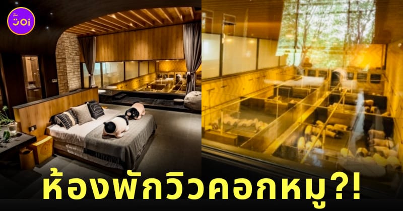 โรงแรมวิวคอกหมูแพนด้า