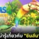 ปก 15 เรื่องน่ารู้ the sims 4 mermaid