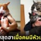 ปก 30 ภาพสุดฮา เมื่อสิลปินตุรเคียตัดต่อหัวแมวกับตัวคนในอิริยาบถต่างๆ