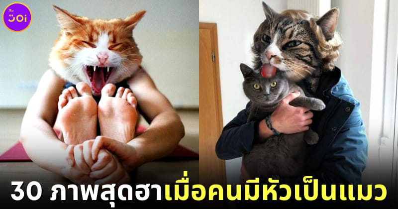 ปก 30 ภาพสุดฮา เมื่อสิลปินตุรเคียตัดต่อหัวแมวกับตัวคนในอิริยาบถต่างๆ