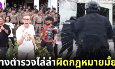 ปก My Mate Nate จ้างตำรวจ 50 นาย