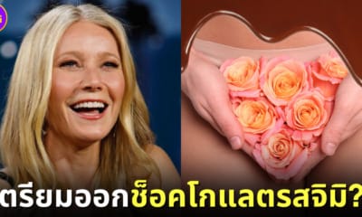 ปก gwyneth-paltrow-ช็อคโกแลตรสจิมิ-This Tastes Like My Vagina