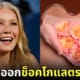 ปก gwyneth-paltrow-ช็อคโกแลตรสจิมิ-This Tastes Like My Vagina