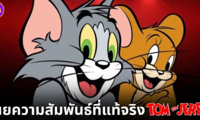 ปก tom and jerry เรื่องจริง เพื่อนซี้