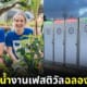 ปก คู่รักข้าวใหม่ปลามันชาวอังกฤษล้างห้องน้ำสาธารณะฉลองฮันนีมูน