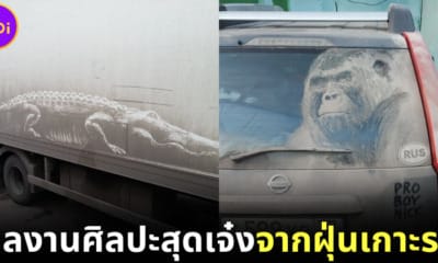 ปก ผลงานศิลปะสุดปังจากคราบฝุ่นเกาะรถ