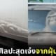 ปก ผลงานศิลปะสุดปังจากคราบฝุ่นเกาะรถ