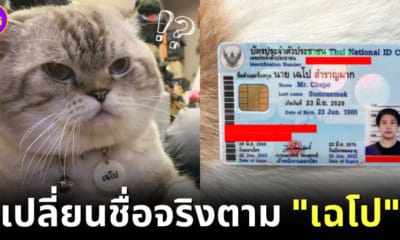 ปก เค ดิษพงศ์ เปลี่ยนชื่อจริงตามแมวเฉโป