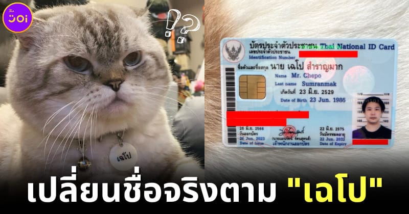 ปก เค ดิษพงศ์ เปลี่ยนชื่อจริงตามแมวเฉโป