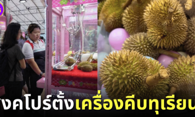 ปก เครื่องคีบทุเรียน สิงคโปร์