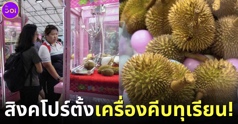 ปก เครื่องคีบทุเรียน สิงคโปร์