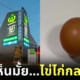 ปก ไข่ไก่กลมดิ๊ก ออสเตรเลีย