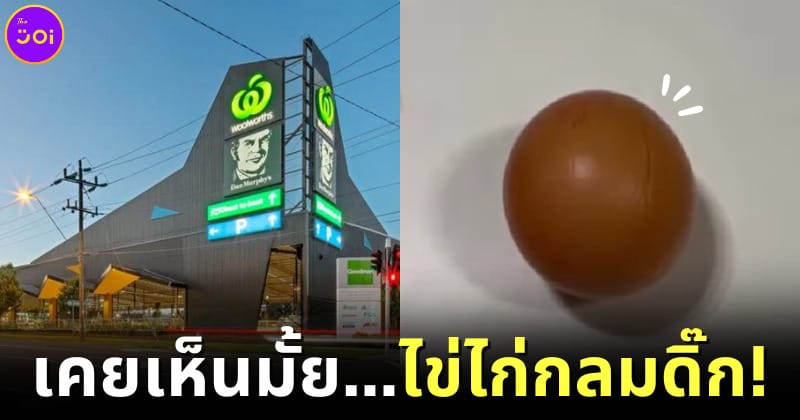 ปก ไข่ไก่กลมดิ๊ก ออสเตรเลีย