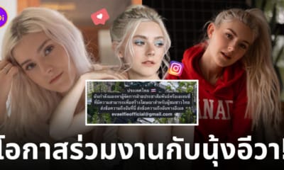 Fleem Template The Joi FBWebsite 5