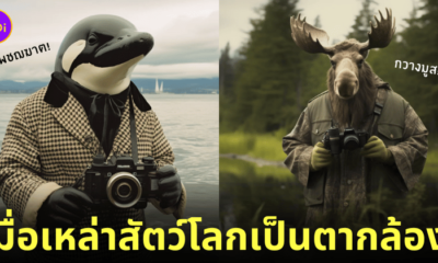 ภาพสัตว์โลก ตากล้อง aiart