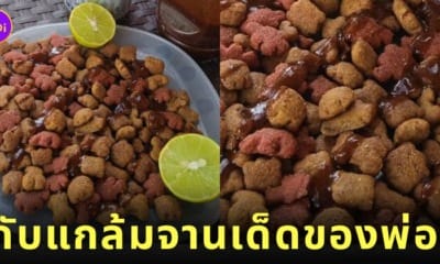 กับแกล้มจานเด็ด อาหารแมว