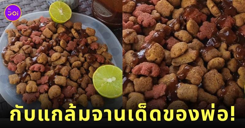 กับแกล้มจานเด็ด อาหารแมว
