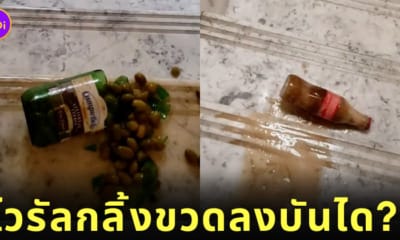 คลิปกลิ้งขวดลงบันได TikTok