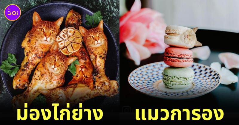 ภาพตัดต่อแมวผสมเข้ากับอาหารและขนม