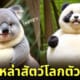 ภาพสัตว์โลก ตัวอ้วน ตัวกลม AI