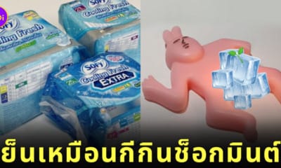 สาวเกาหลีรีวิวผ้าอนามัยแบบเย็นของไทย