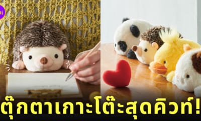 ตุ๊กตาเกาะโต๊ะ ฟุนบารุสึ นั่งหลังตรง funbarus