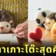 ตุ๊กตาเกาะโต๊ะ ฟุนบารุสึ นั่งหลังตรง funbarus