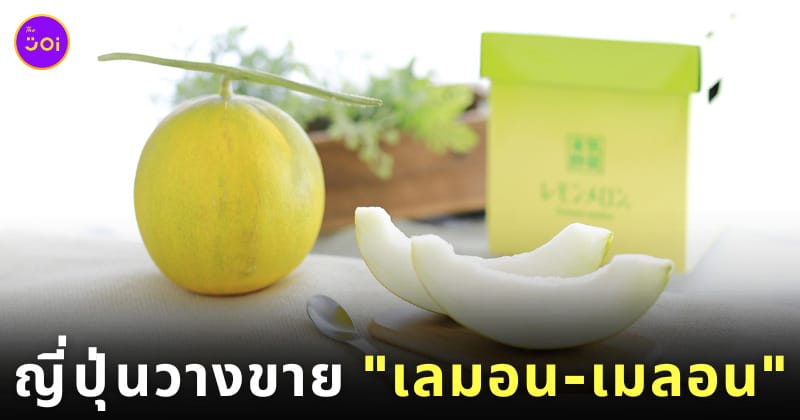 ผลไม้ญี่ปุ่น เลมอน-เมลอน Lemon Melon