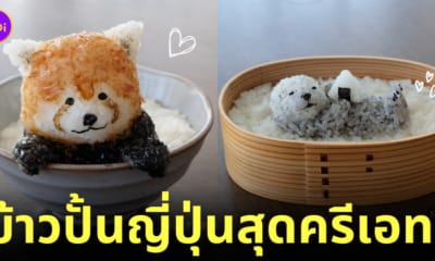 ข้าวปั้นญี่ปุ่นสุดอาร์ต